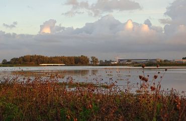 Crezeepolder / Jako van Gorsel