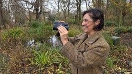 Stella Groenhof, Ledenraadslid