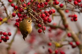 Just hanging around here