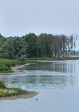 Basiskwaliteit natuur Zuid-Holland