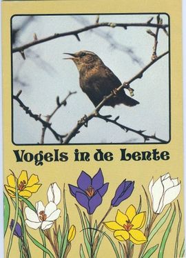 Vogels in de Lente