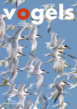 Cover Vogels 04 / 2016