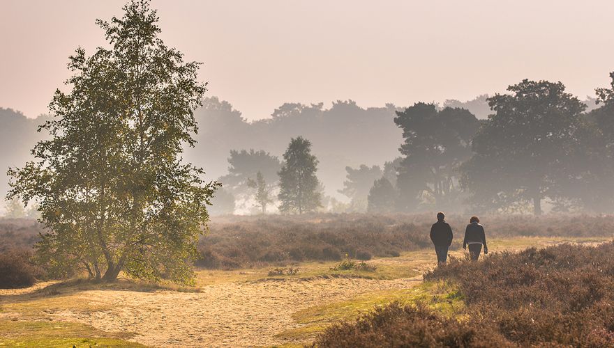 Hoge Veluwe / Shutterstock