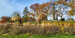 Anton van Duinkerkenpark, Bergen op Zoom 