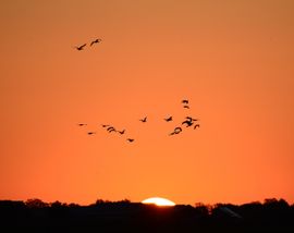 DE eerste stralen van de zon