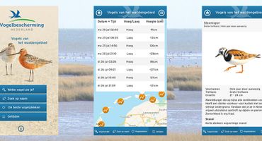 Waddenapp