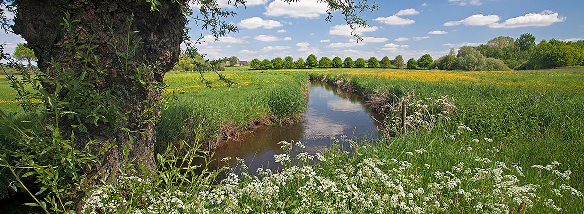 Swalm / BuitenBeeld - Jelger Herder