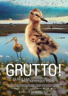 Videostill - GRUTTO poster / Ruben Smit Productions