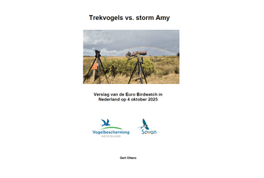 Cover verslag Euro Birdwatch 2025