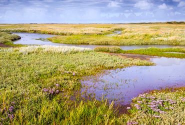 Slufter Texel / Agami