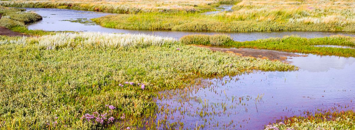 Slufter Texel / Agami