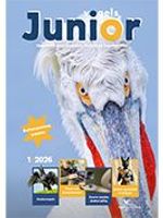 Cover Vogels Junior 1/2026