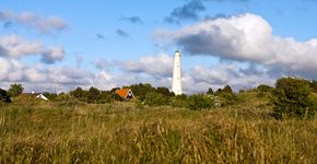 Schiermonnikoog / Agami - Marc Guyt