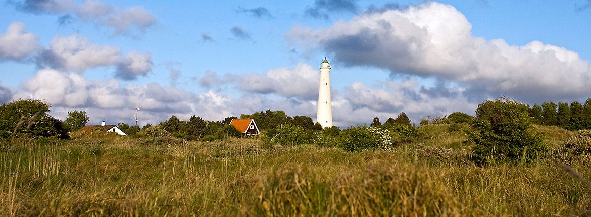 Schiermonnikoog / Agami - Marc Guyt