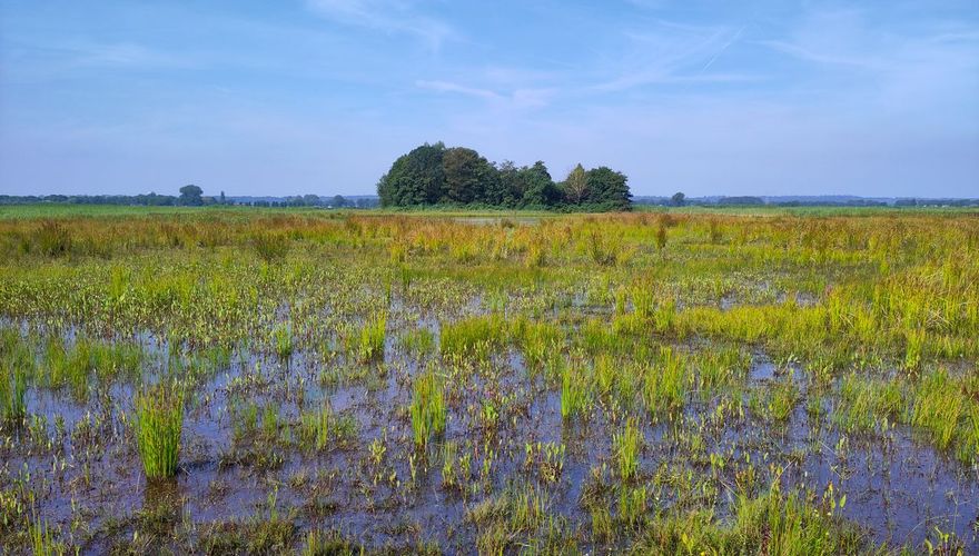 Binnenveldse hooilanden / Thomas Kroon