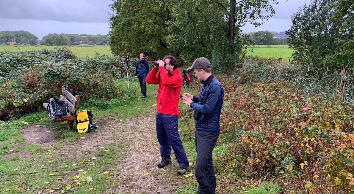Telpost Jacobssteeg / Nanne Nauta