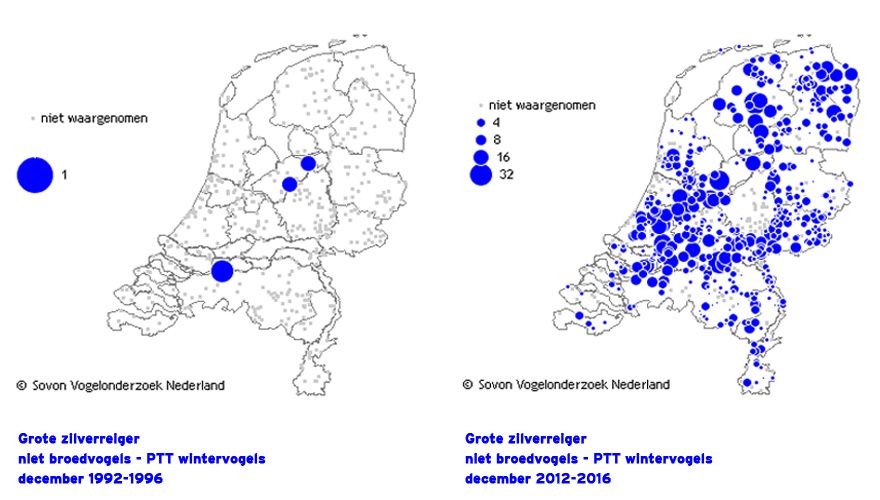 Winterverspreiding grote zilverreiger / Sovon.nl