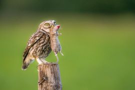 Weet iemand waar tafel 9 is ?