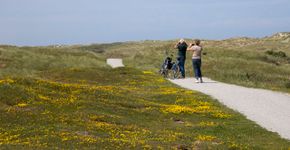 Duinen Ameland / Agami