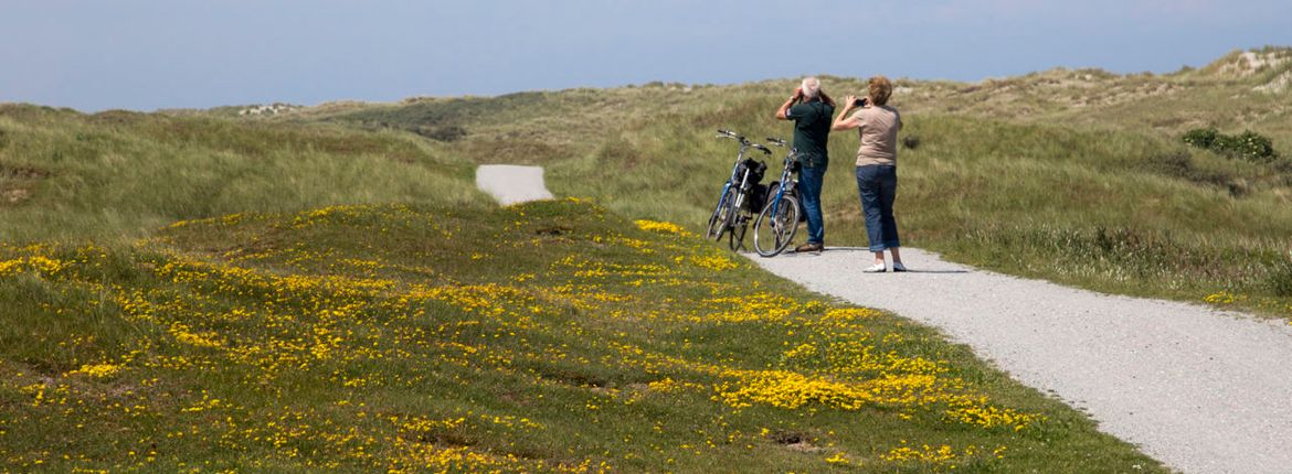 Duinen Ameland / Agami