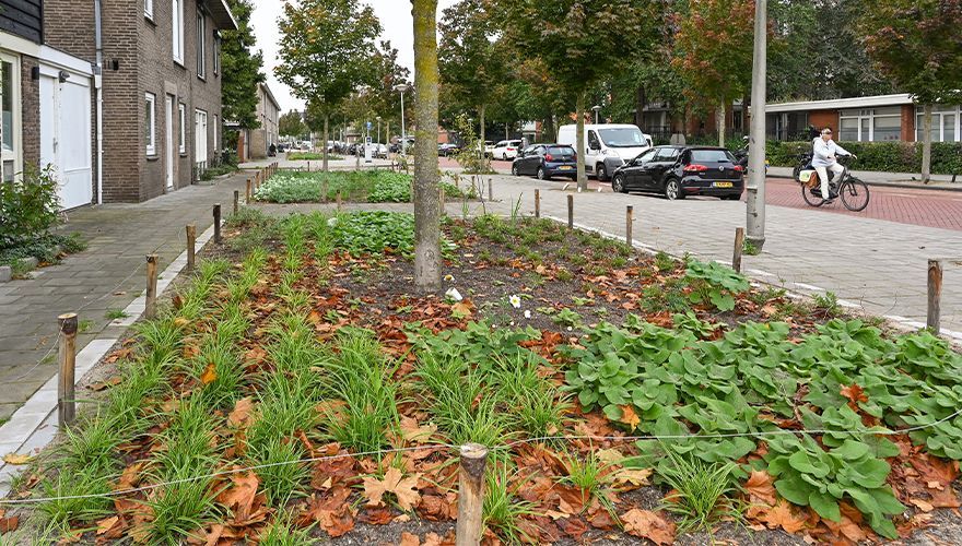 Socratesstraat / Gemeente Amsterdam