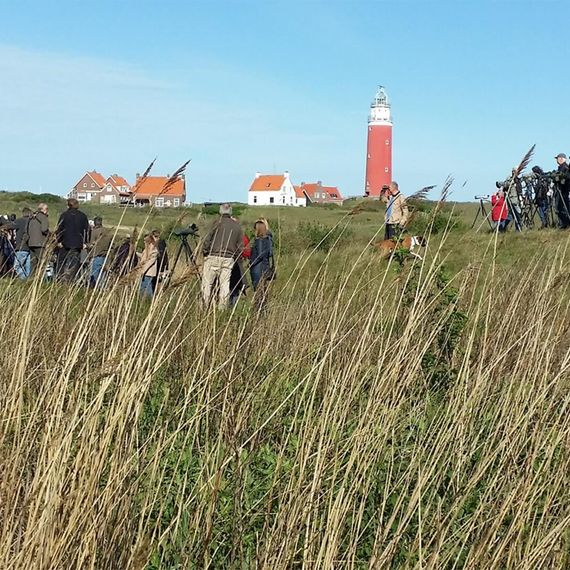 Wadden Vogelfestival