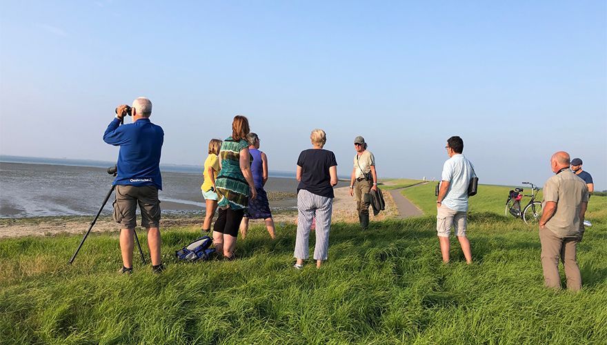 Bewonersexcursie strandje Kattendijke / Wilco Jacobusse