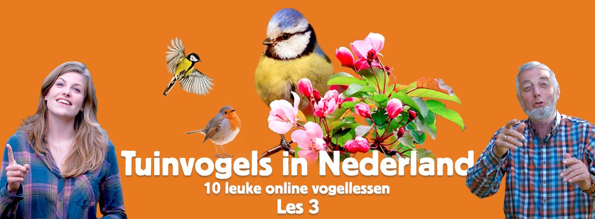 Header les 3 tuinvogelcursus