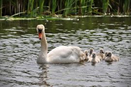 Met zijn allen op stap