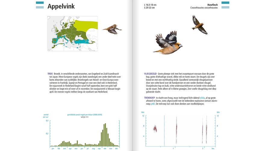 Spread appelvink Veldgids Vogeltrek