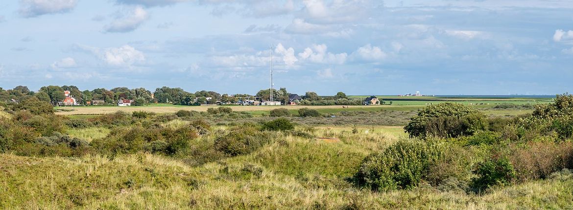 Schiermonnikoog  / Shutterstock