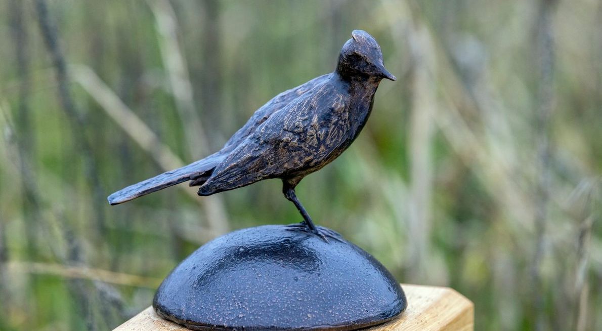 Gouden Leeuwerik/ Fred van Diem