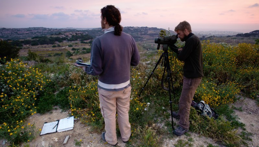 natuurbescherming Malta/ Lars Soerink