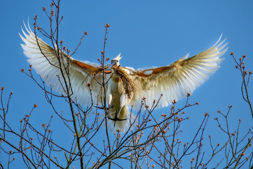 de lente hangt in de lucht