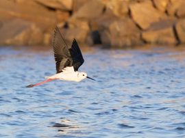 Onderweg naar morgen