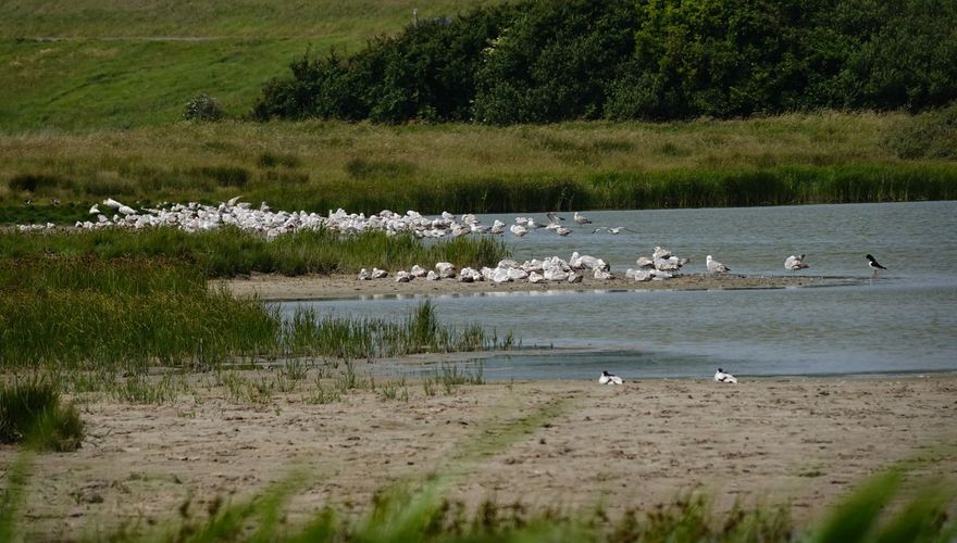 Noordervroon / Chris van der Heijden