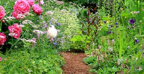 Tuin / Shutterstock