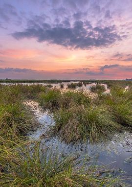 Basiskwaliteit natuur Groningen