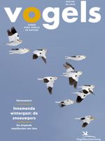 Cover Vogels 1905