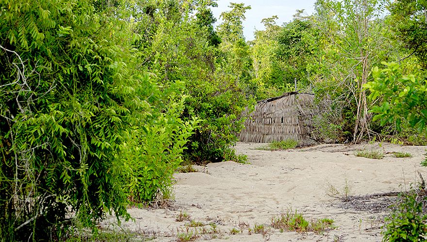 Schuilhut in broedgebied / Hans Peeters