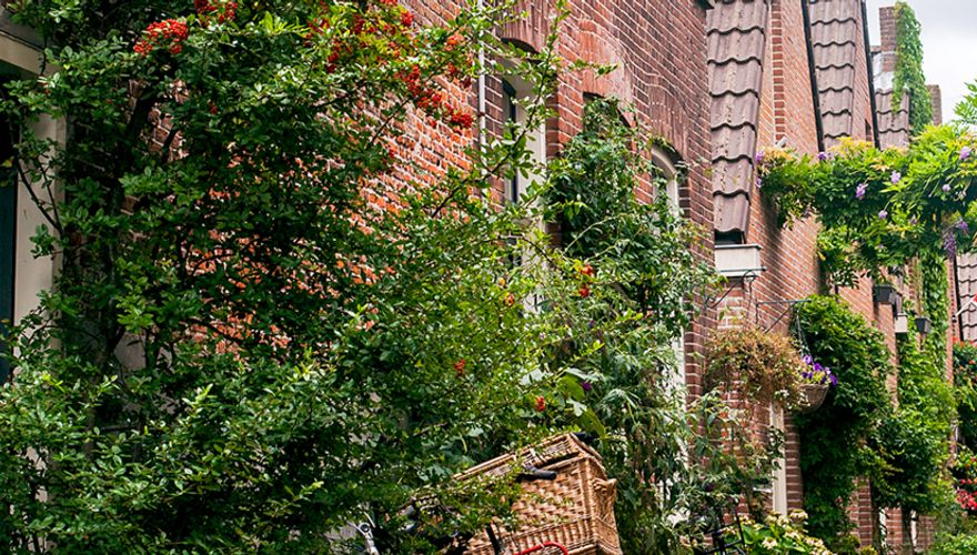 Groene stad / Shutterstock