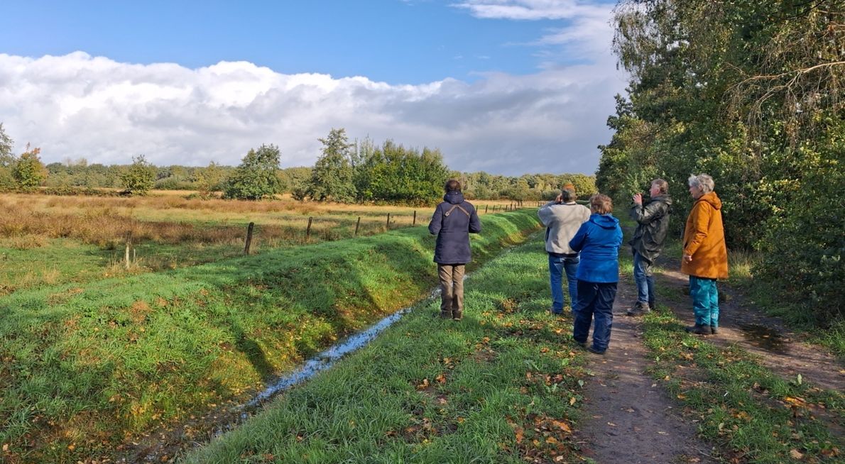 Tellint Tilburg / Oisterwijk, Boxtel, Oirschot, Liempde / Rinus Sterken