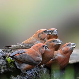 De mannen wilden graag een groepsfoto