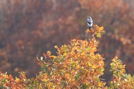 HET MOOISTE UITZICHT