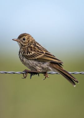 Even een kleine pauze nemen...