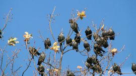 Gezellig met zijn allen in de zon