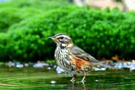 even een bad nemen voor dat ik verder ga