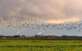 Voorbereiding op de grote reis