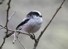 Even een rustmoment!