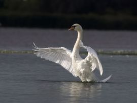 Genieten van de avondzon